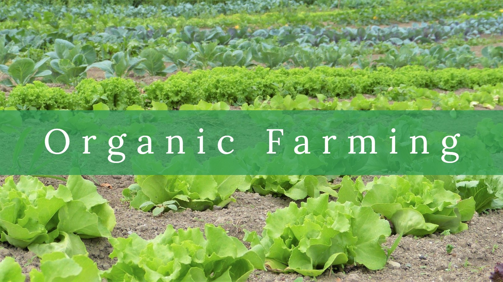 Organic Farming