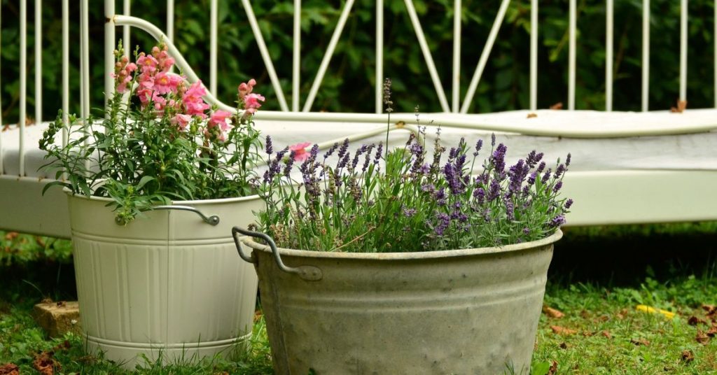 container garden- flowers in pots