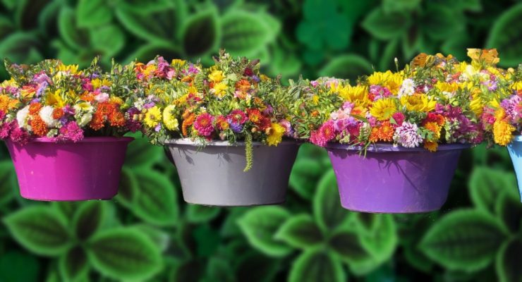 colorful container pots