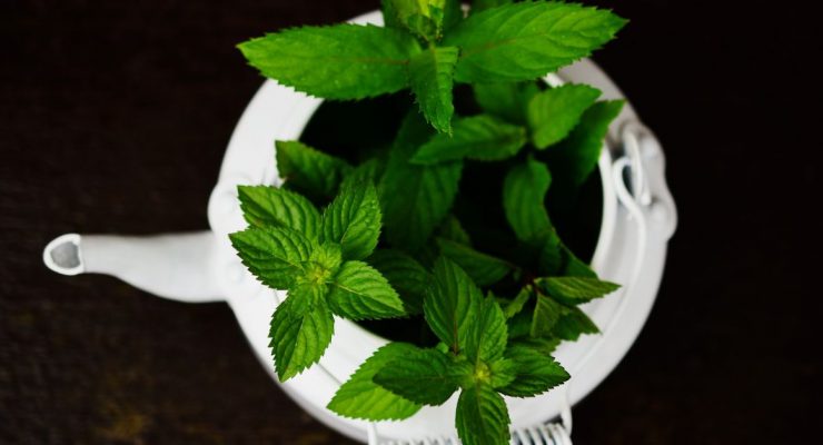 container gardening