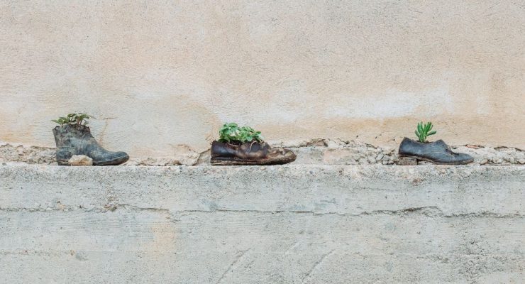Shoes used as container pots in gardening