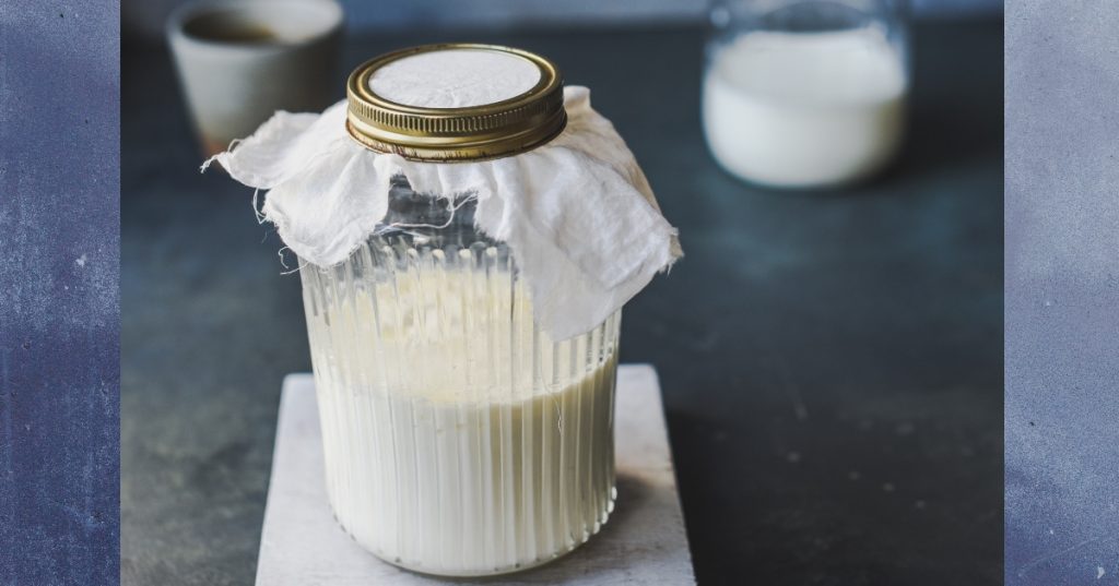 Is Kefir Good For Plants? 1 kefir