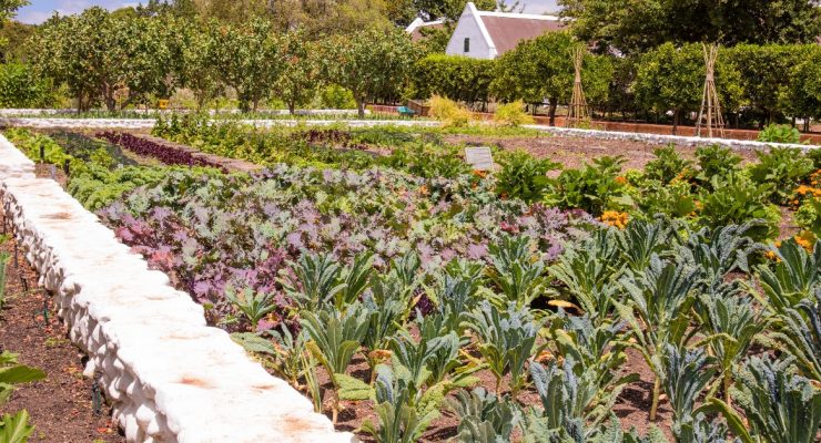 permaculture