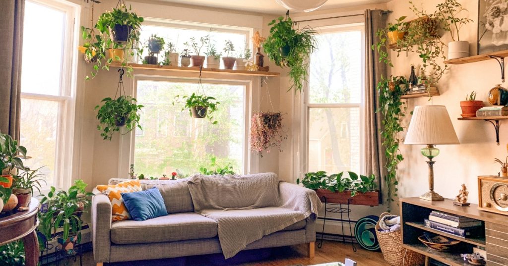 Creative Ideas for Plant Shelves 1 plant shelves