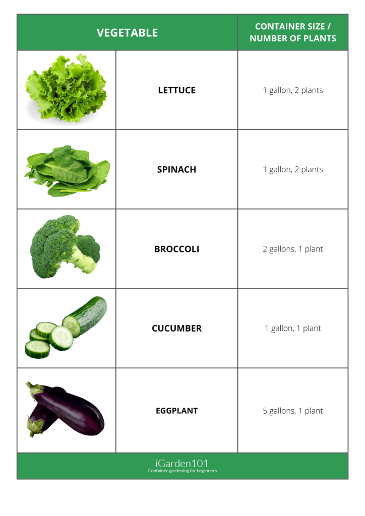 container gardening - vegetables