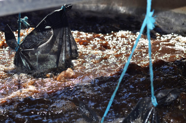 compost tea