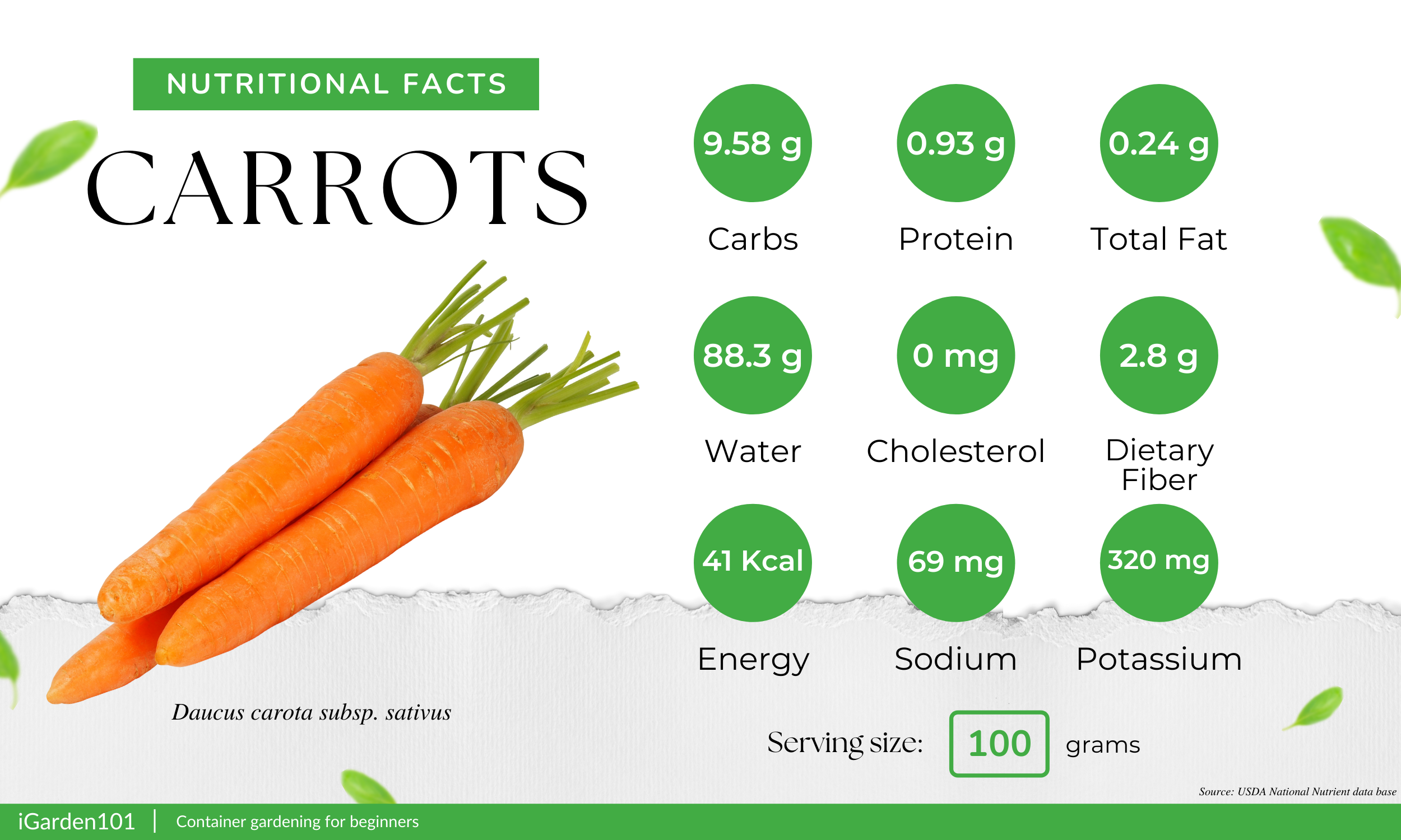 carrots nutritional facts