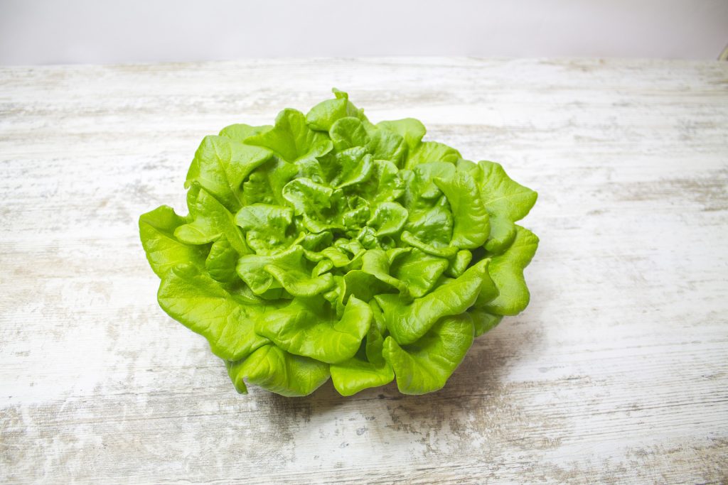 oakleaf lettuce