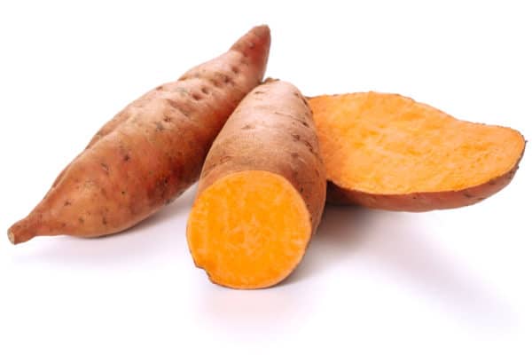 beauregard-sweet-potato