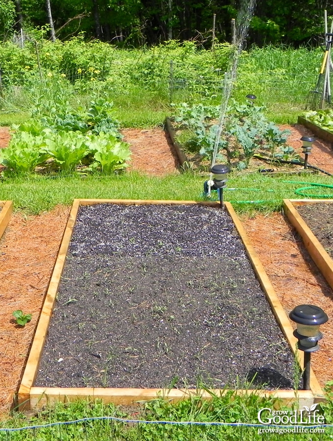 location for raised beds iGarden101