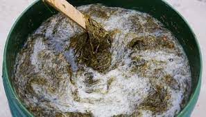 Fertilizer DIY: Natural and Organic 9 grass clipping tea fertilizer iGarden101
