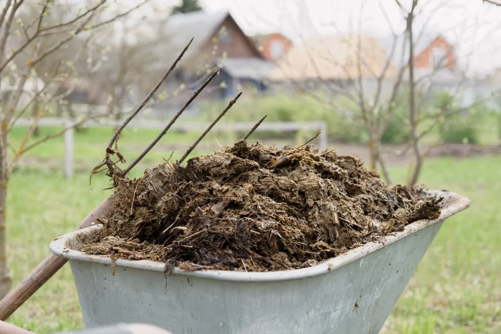 Fertilizer DIY: Natural and Organic 1 maure fertilizer iGarden101