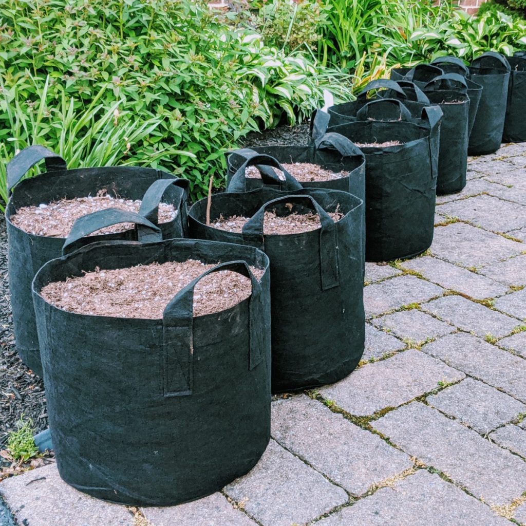 Fabric-Grow-Bags-Gardening