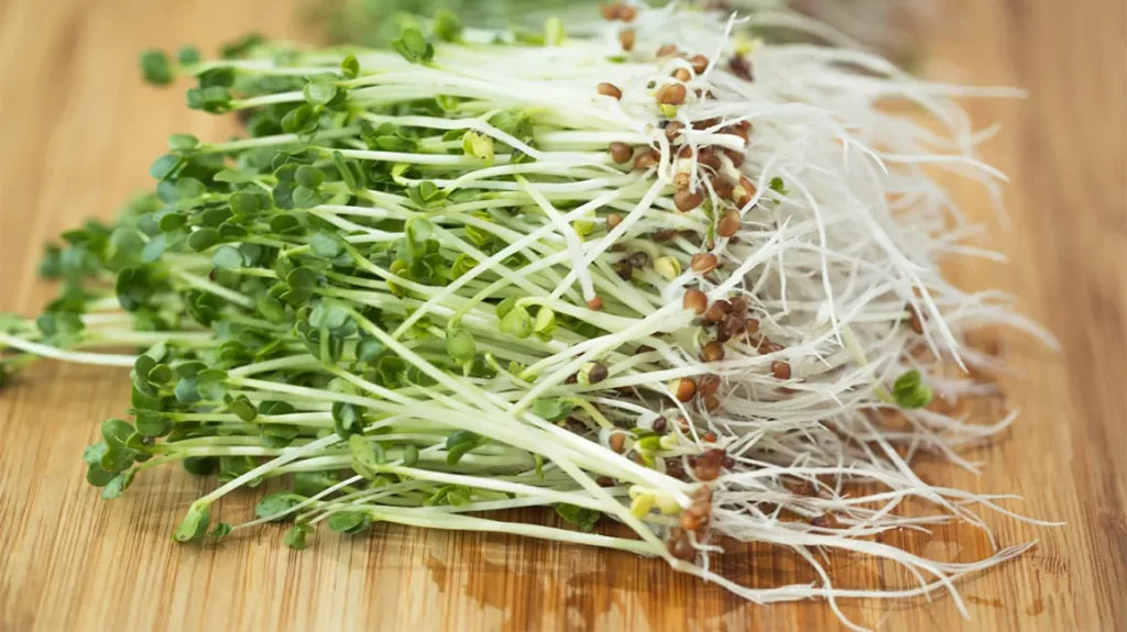 broccoli sprouts 1296x728 header iGarden101